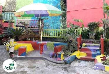  Avian  Brands Creating Rich Value